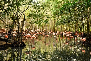 National Aviary private from Cartagena