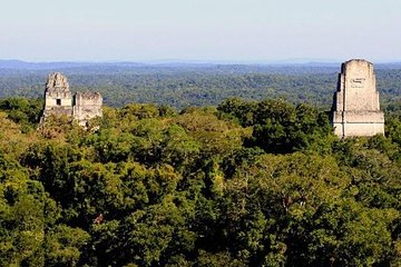 Tikal Day Trip by Air from Guatemala City with Lunch