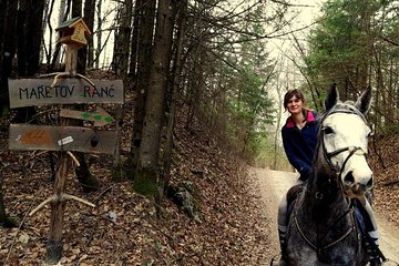 Horseback Riding In Bled