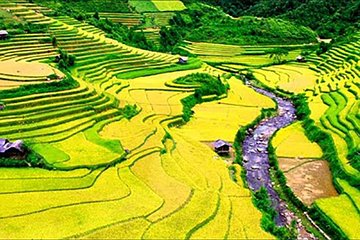 1 day Private tour Sapa Off The Beaten Path trekking start from Sapa