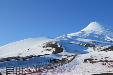 Private Tour: Puerto Montt, Puerto Varas and Vicente Peres Rosales National Park