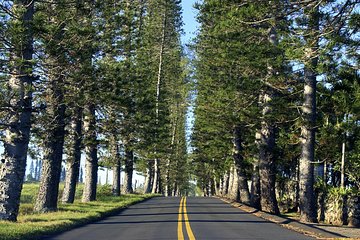 Road to Hana Adventure - Best Tour on Maui