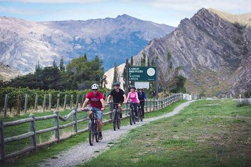 Bike The Wineries Half Day Ride - Queenstown