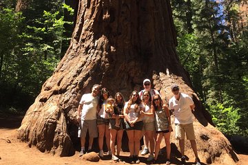 Off-Road Giant Sequoia 4x4 Tour