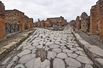 Herculaneum ruins and Naples National Archaeological Museum tour from Naples