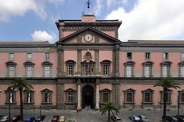 Tour of the Archaeological Museum of Naples