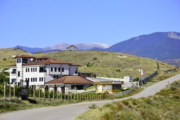 Melnik Wine Tasting tour from Sofia