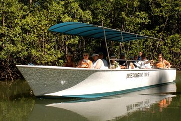 Damas Mangrove Boat Tour