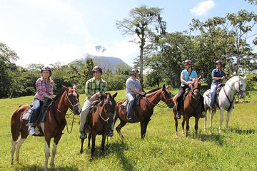 Arenal Wilberth Stable