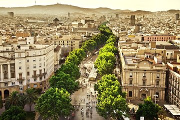 Barcelona Half-Day Sightseeing Private Tour