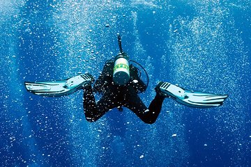 2 Tank Shore Dive at Sea Turtle Cove