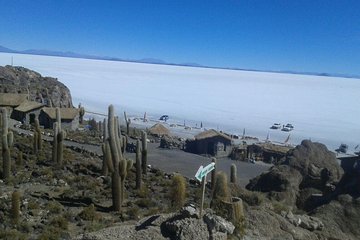 Private Cultural Tour: Uyuni Salt Flats includes grazing of llamas