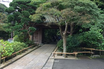 Kamakura Walking Tour with Local Guide Including Hokokuji Temple