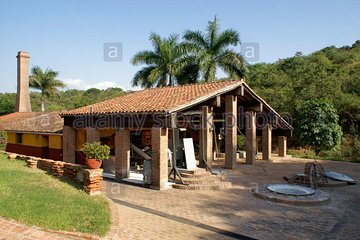 Half-Day Tour to Tequila Factory and Villages from Mazatlan