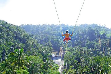 Bali Jungle Swing and White Water Rafting All Inclusive