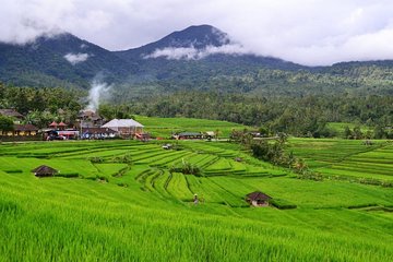 Beauty Of West Bali Tour (Private and All Inclusive)
