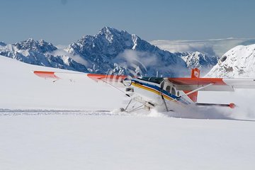 45-Minute Glacier Highlights Ski Plane Tour from Mount Cook