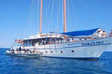 Fijian Islands and Snorkel Full-Day Whales Tale Cruise including Beach BBQ Lunch