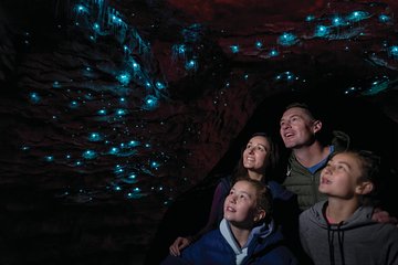 Te Anau Glow Worm Caves Tour