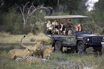 Chobe Extended Day Trip from Victoria Falls - Zimbabwe