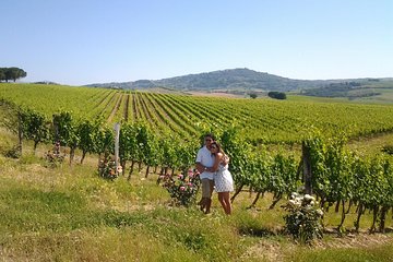 Brunello Vineyards Bus Tour