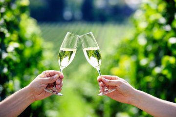 Private Tour: Montserrat and Cava Visit