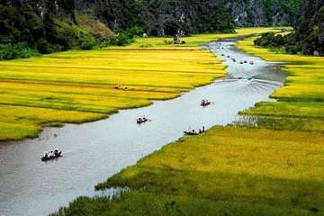 Hoa Lư Tam Coc full day Including Buffets Lunch