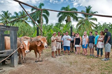 Bayahibe La Romana Discovery Full Day Tour