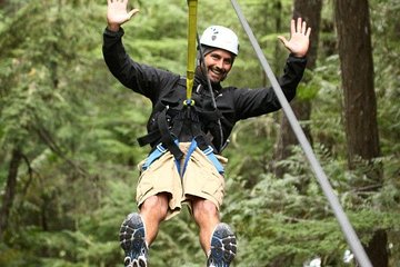 Rainforest Canopy Adventure from Vieux Fort or North Island, St Lucia