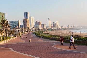 Durban Shore Excursion: Private Small Group Durban City Tour