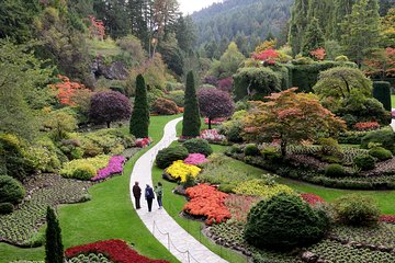 COMBO Victoria City Tour & Butchart Gardens & Entry Tix