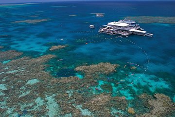 Quicksilver Great Barrier Reef Snorkel Cruise from Port Douglas