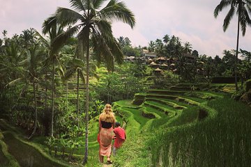 Private Tour: Balinese Culture and Scenery (visit ubud area)