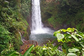 La Paz Waterfall Gardens and Wildlife Refuge Tour from San Jose