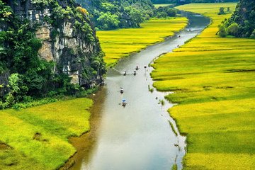 Hoa Lu- Tam Coc -Ninh Binh 1 day by Limousine bus small group