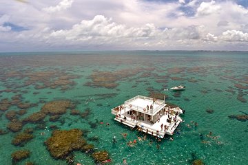 Maracajau from Natal