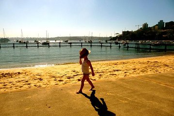 Morning or Afternoon Highlights Tour in Sydney with a Local Guide