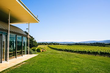 Yarra Valley Winery Tour from Melbourne 