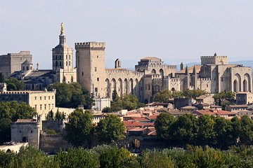 A Historical Journey with Wine Tasting in Avignon: Tour from Nice