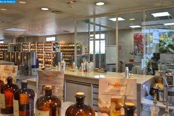 Secrets of winemaking and perfumery on the Côte d'Azur Cannes Shore Excursion