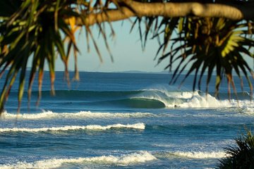 10-Day Surf Adventure from Sydney to Brisbane Including Coffs Harbour, Byron Bay and Gold Coast