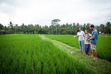 Half-Day Ubud Heritage Food Tour