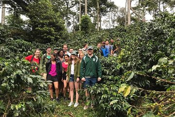 coffee express & exotic fruit Market Medellin