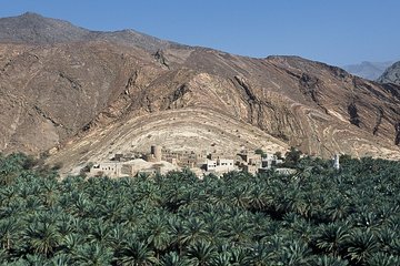 Cool and Green Garden Tour from Muscat