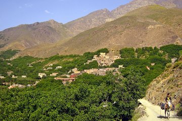 Marrakech Day Tour to Ouzoud Waterfalls