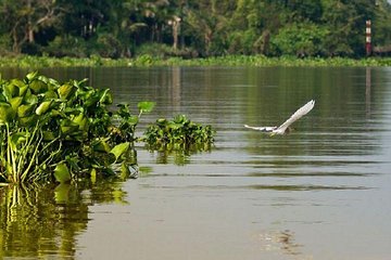 Mekong Delta full day by speed boat