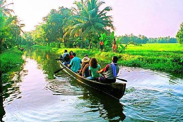 Kerala Backwater Cruise in Exclusive Water Taxi Explores Narrows