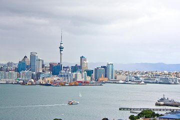 Auckland City Highlights, Afternoon Piha Beach & Rainforest Tour