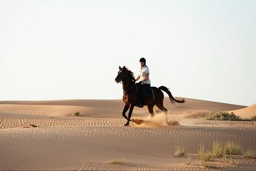 Horseback Riding in Dubai Desert with Transfers