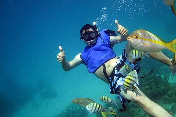 Cayo Arena Exclusive Tour with Lunch